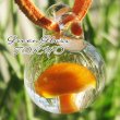 画像5: クリタケ　glass mushroomネックレス (オレンジ)　きのこネックレス (5)